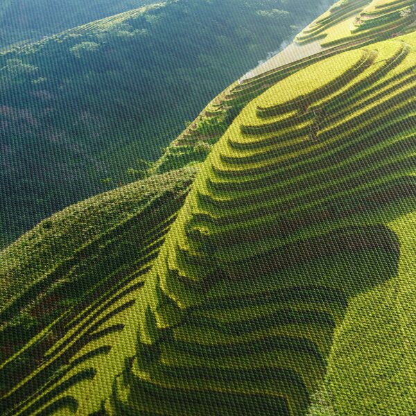 Kép - Rice Terraces koncert (150x105 cm)
