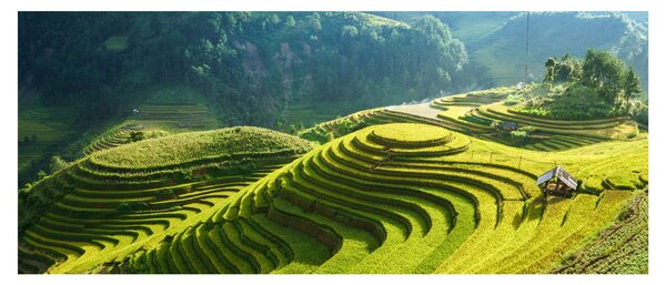 Kép - Rice Terraces koncert (120x50 cm)