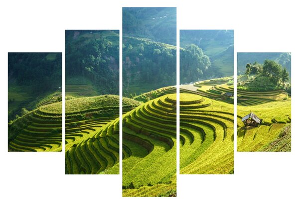 Kép - Rice Terraces koncert (150x105 cm)