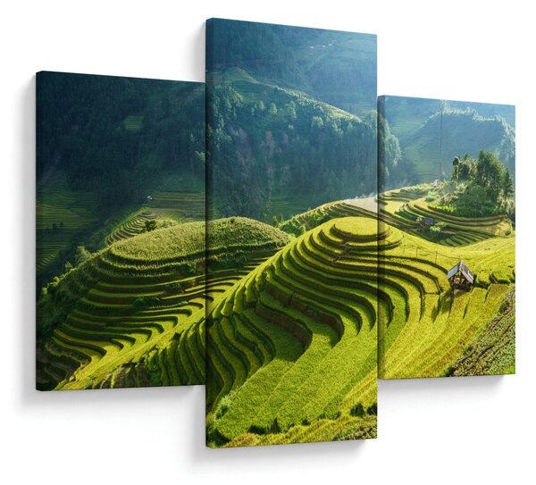 Kép - Rice Terraces koncert (90x60 cm)