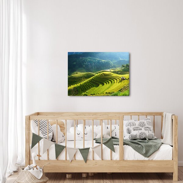 Kép - Rice Terraces koncert (70x50 cm)