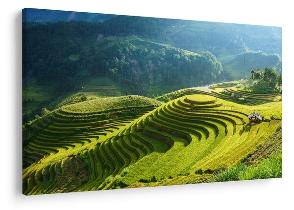 Kép - Rice Terraces koncert (90x60 cm)