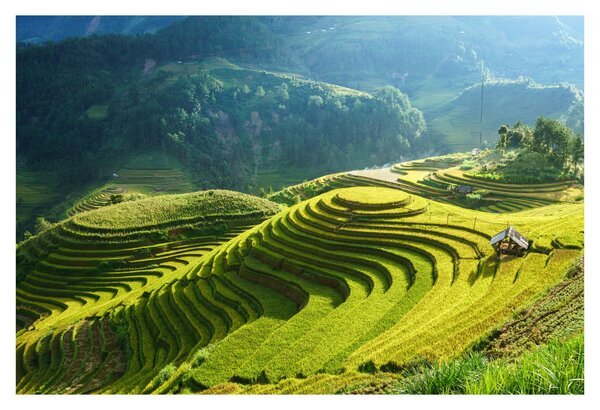 Kép - Rice Terraces koncert (90x60 cm)
