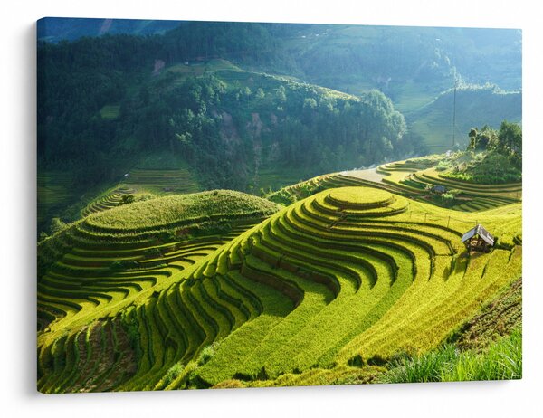 Kép - Rice Terraces koncert (70x50 cm)