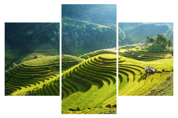 Kép - Rice Terraces koncert (90x60 cm)