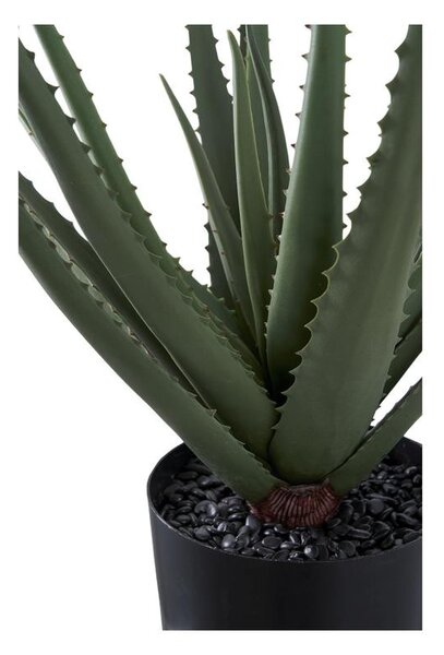Aloe Vera műnövény