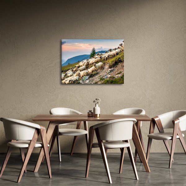 Kép - Egy nyáj birka (70x50 cm)