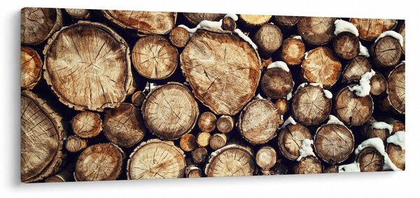 Kép - Fa a hóban (120x50 cm)