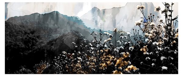 Kép - Vadvirágok illusztrációja (120x50 cm)