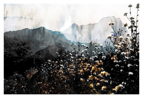 Kép - Vadvirágok illusztrációja (90x60 cm)