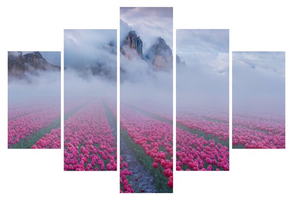 Kép - Tájkép tulipánmezőkkel (150x105 cm)