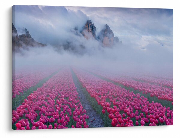 Kép - Tájkép tulipánmezőkkel (70x50 cm)