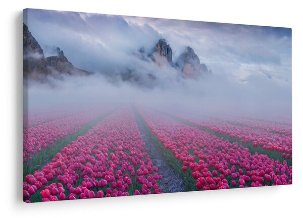 Kép - Tájkép tulipánmezőkkel (90x60 cm)