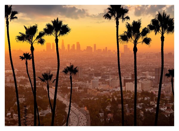 Kép - Los Angeles panorámája (70x50 cm)