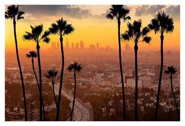 Kép - Los Angeles panorámája (90x60 cm)
