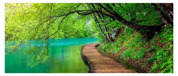 Kép - Plitvicei-tavak (120x50 cm)