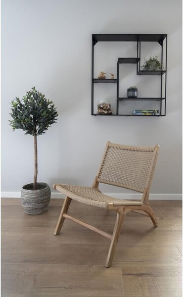 Művirág, olajfa, H120 cm