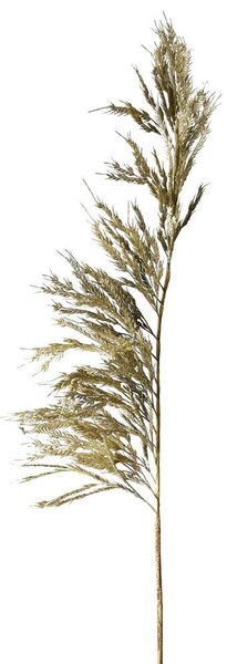 Pampas műnövény
