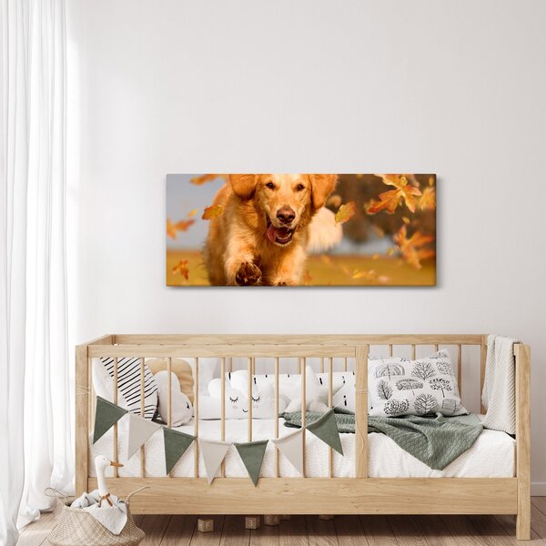 Kép - Golden Retriever (120x50 cm)