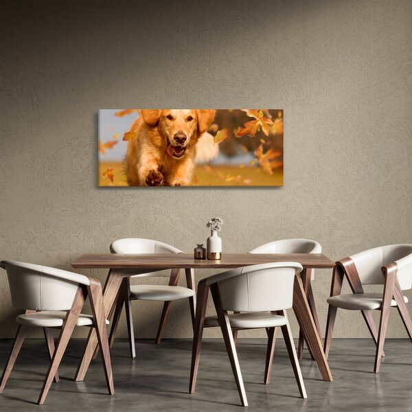 Kép - Golden Retriever (120x50 cm)