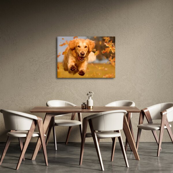 Kép - Golden Retriever (70x50 cm)