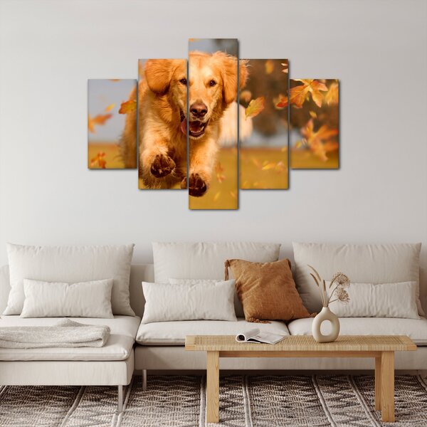 Kép - Golden Retriever (150x105 cm)