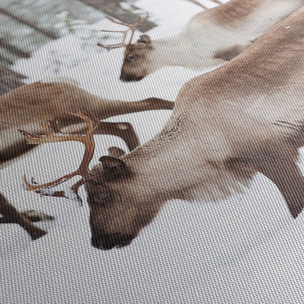 Kép - Rénszarvas (150x105 cm)