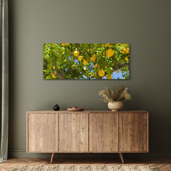 Kép - Citromfa (120x50 cm)