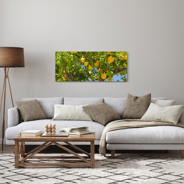 Kép - Citromfa (120x50 cm)