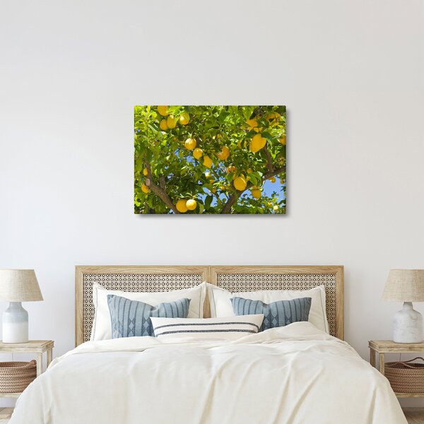 Kép - Citromfa (70x50 cm)