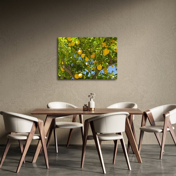 Kép - Citromfa (70x50 cm)