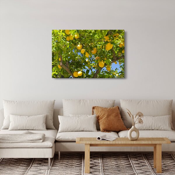 Kép - Citromfa (90x60 cm)