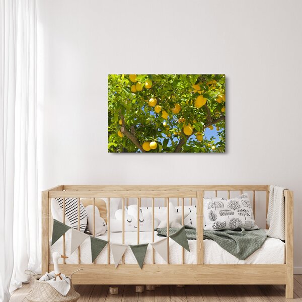 Kép - Citromfa (90x60 cm)