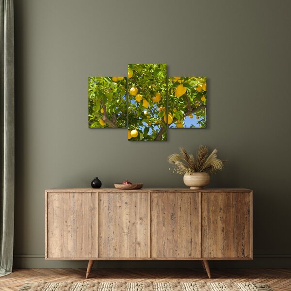 Kép - Citromfa (90x60 cm)