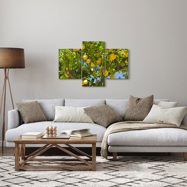Kép - Citromfa (90x60 cm)