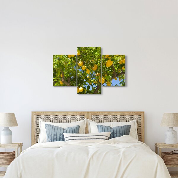 Kép - Citromfa (90x60 cm)
