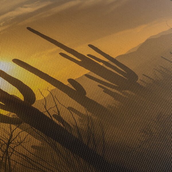 Kép - Saguaro kaktuszok (órával) (90x30 cm)