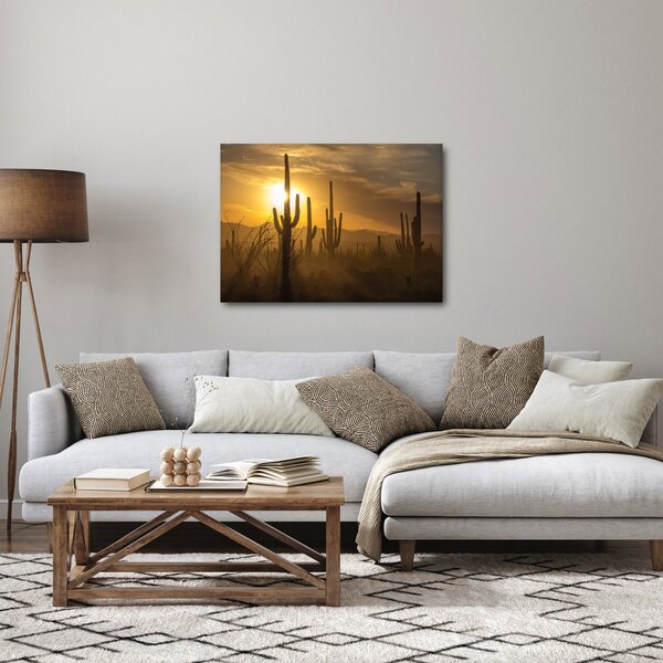 Kép - Saguaro kaktuszok (70x50 cm)