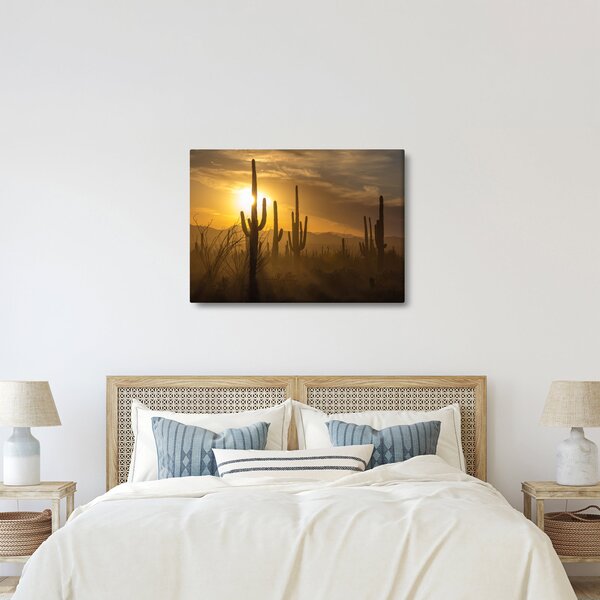 Kép - Saguaro kaktuszok (70x50 cm)