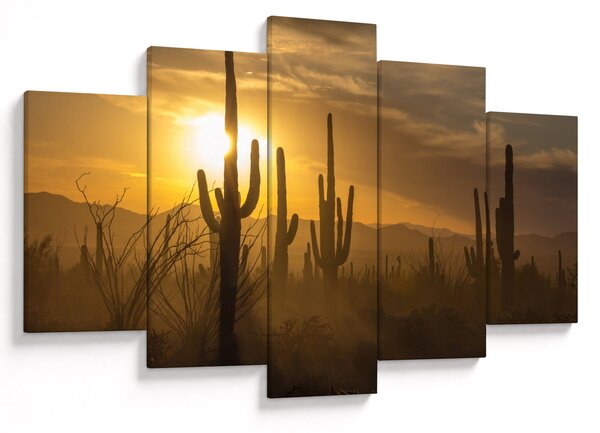 Kép - Saguaro kaktuszok (150x105 cm)