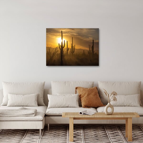 Kép - Saguaro kaktuszok (70x50 cm)