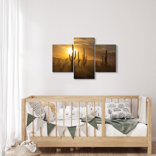 Kép - Saguaro kaktuszok (90x60 cm)