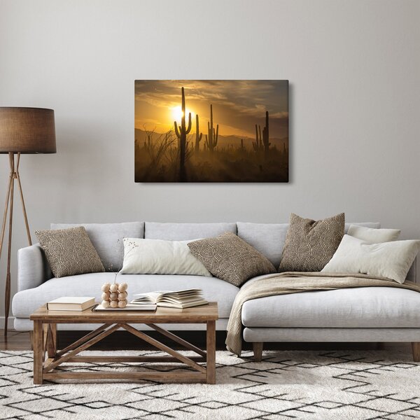 Kép - Saguaro kaktuszok (90x60 cm)