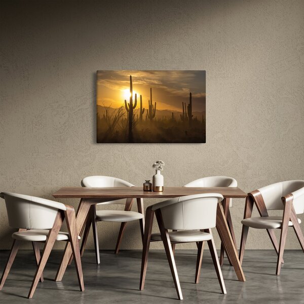 Kép - Saguaro kaktuszok (90x60 cm)