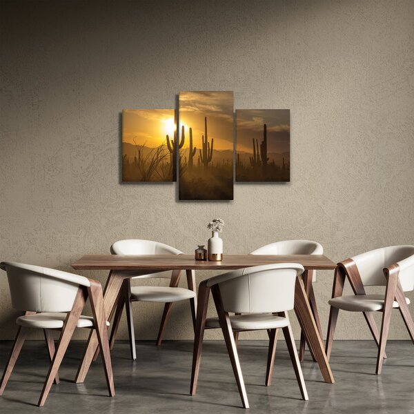 Kép - Saguaro kaktuszok (90x60 cm)