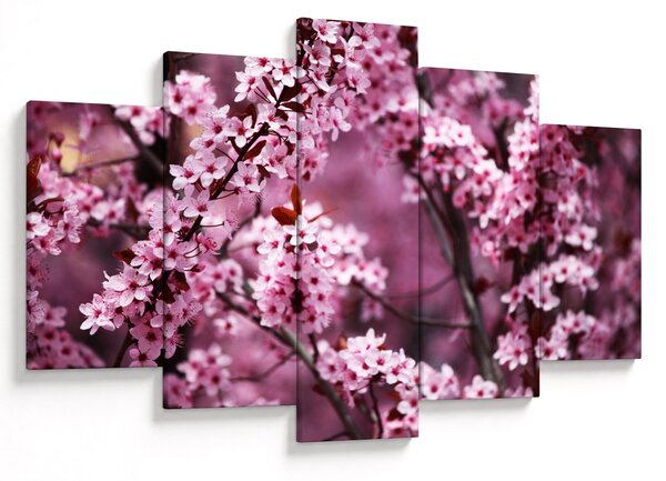 Kép - Rózsaszín sakura (150x105 cm)