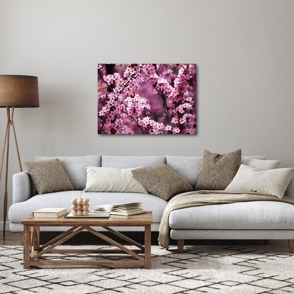 Kép - Rózsaszín sakura (70x50 cm)