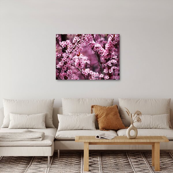 Kép - Rózsaszín sakura (70x50 cm)