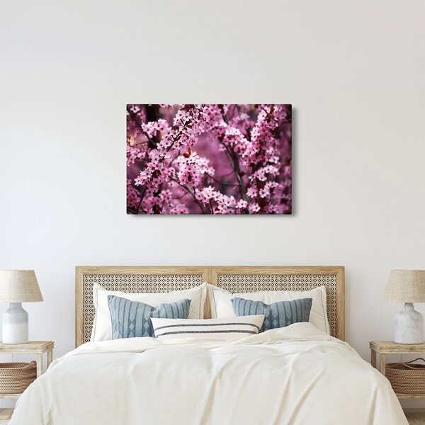 Kép - Rózsaszín sakura (90x60 cm)