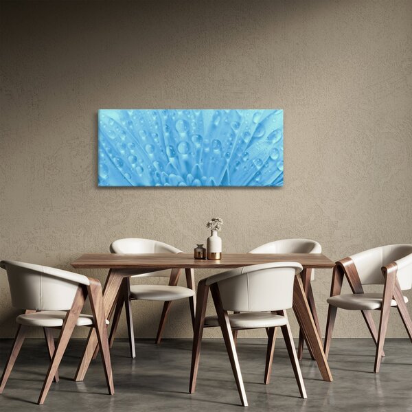 Kép - Makro felvétel egy virágról (120x50 cm)